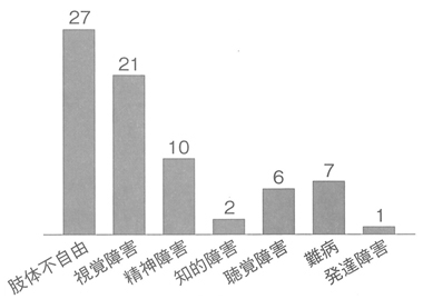 棒グラフ　障害種別　