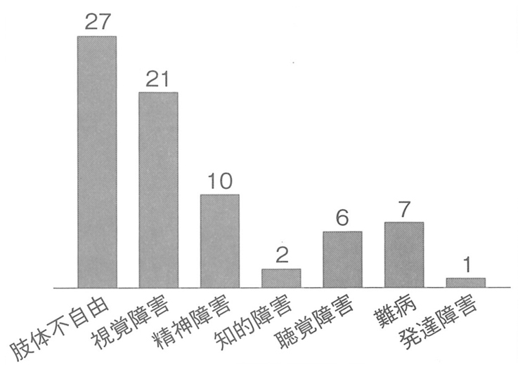棒グラフ　障害種別