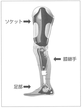 図　大腿義足の構造