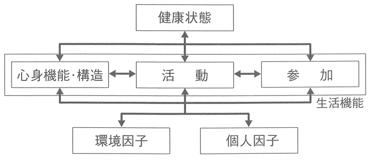 図　生活機能モデル（ICF・WHO）