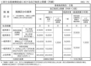 図表２　公平・安定的な医療費助成の仕組みの確立