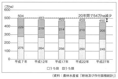 図２　耕地面積の推移