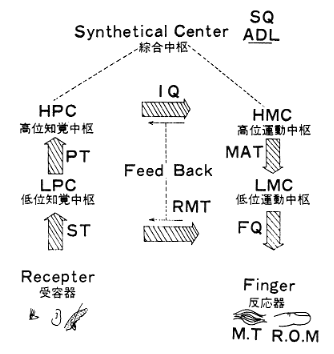 図１　手指機能の人間工学的システム(今田)