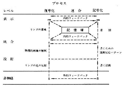 図４．リンゴの様子を見て「リンゴ」という語を書く反応 