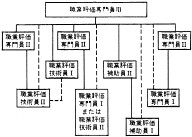 図３　大規模の職業評価プログラムにおける職員構成類型