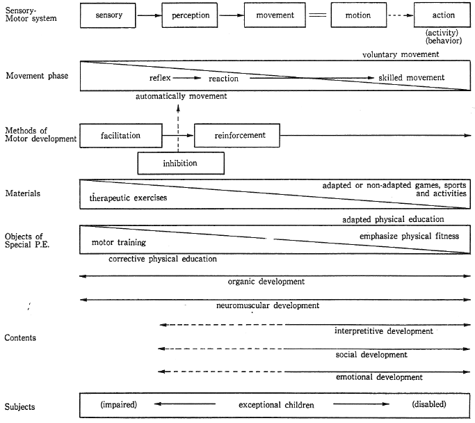 図４．感覚・運動系と特殊体育の関係 