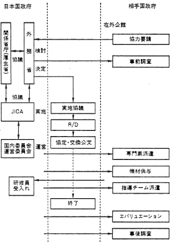 表９　プロジェクト方式技術協力の手順