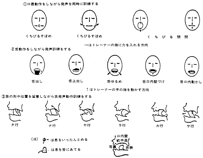 図Ｃ　心理リハビリテーションＱ＆Ａより　口唇、舌動作訓練と発声・発語動作訓練