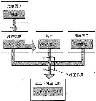 図　カナダモデル：ハンディキャップ発生プロセス