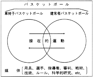 図２　将来望まれる二つのバスケットボール集団の集団状況