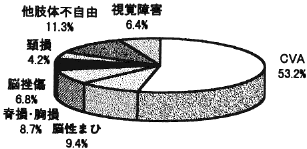 図１　障害種別