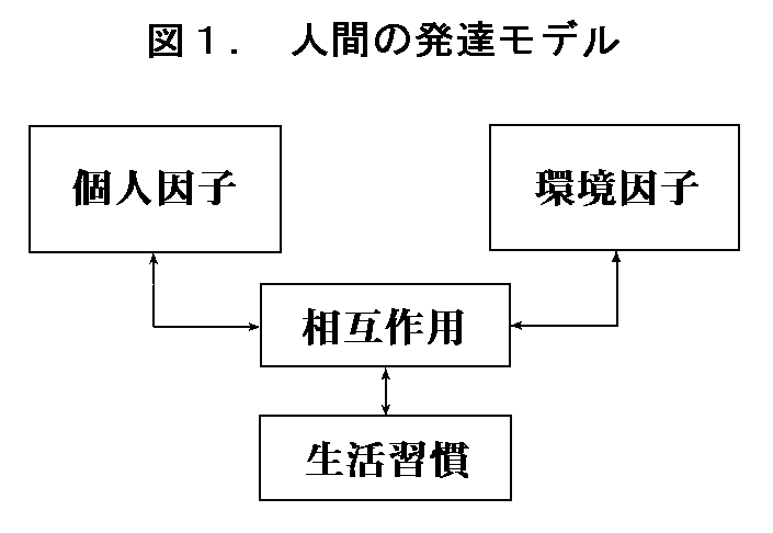 図１　人間の発達モデル