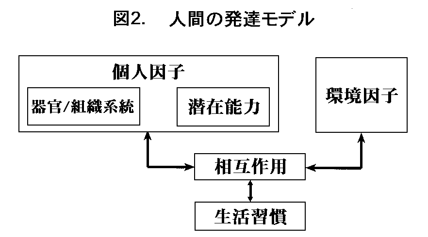 図２　人間の発達モデル