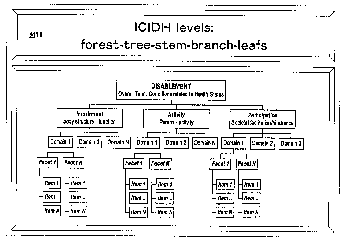 図10　ＩＣＩＤＨ　levels：forest-tree-stem-branch-1eafs