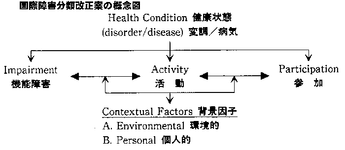 国際障害分類改正案の概念図