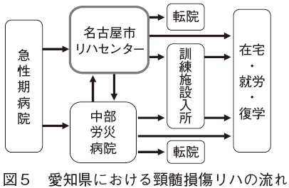 図５　愛知県における頸髄損傷リハの流れ