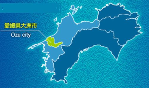 愛媛県大洲市地図