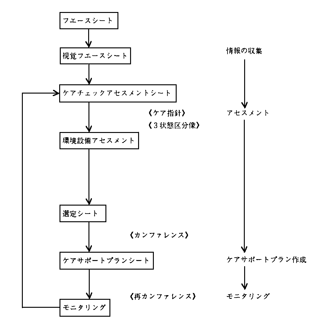 ケアサポートプランの過程の流れ図