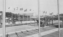 東京広場の各国旗