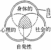 「図４－１　子どもの発達における３つの側面」の図