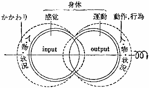「図４－２　動作の獲得過程」の図