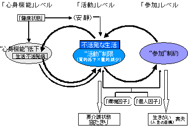 Ａ．「生活機能低下の悪循環」の図