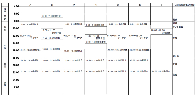 二〇〇八年六月二〇日 ケアプラン