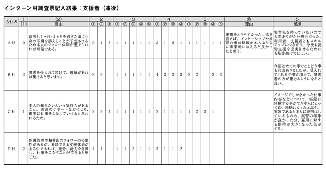 インターン用調査票記入結果：支援者（事後）
