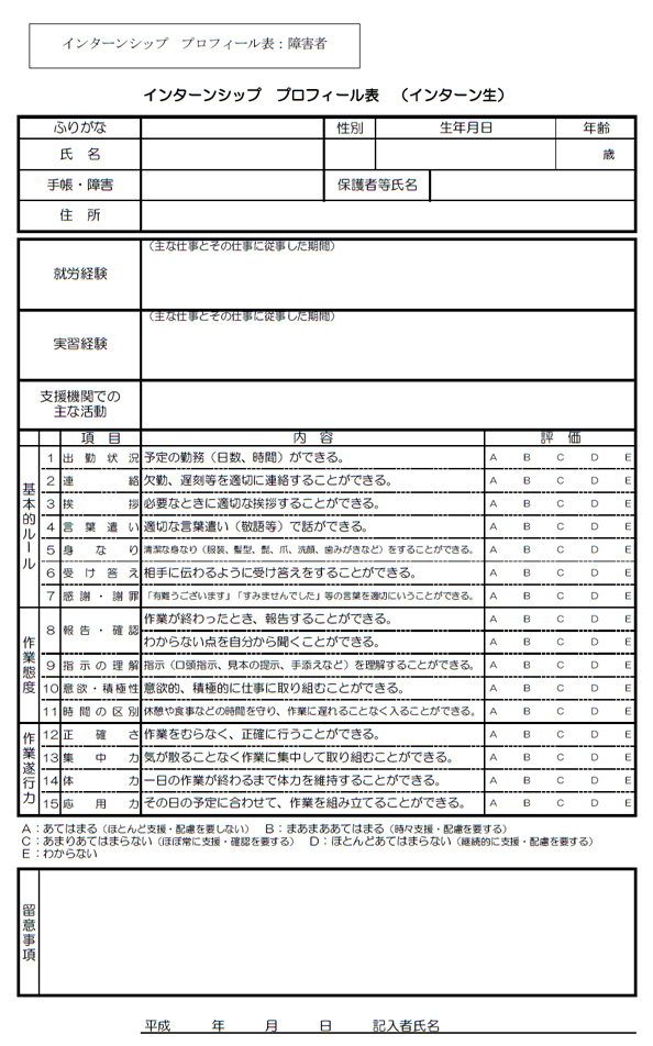インターンシップ　プロフィール表：障害者