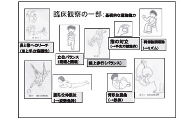 臨床観察の一部