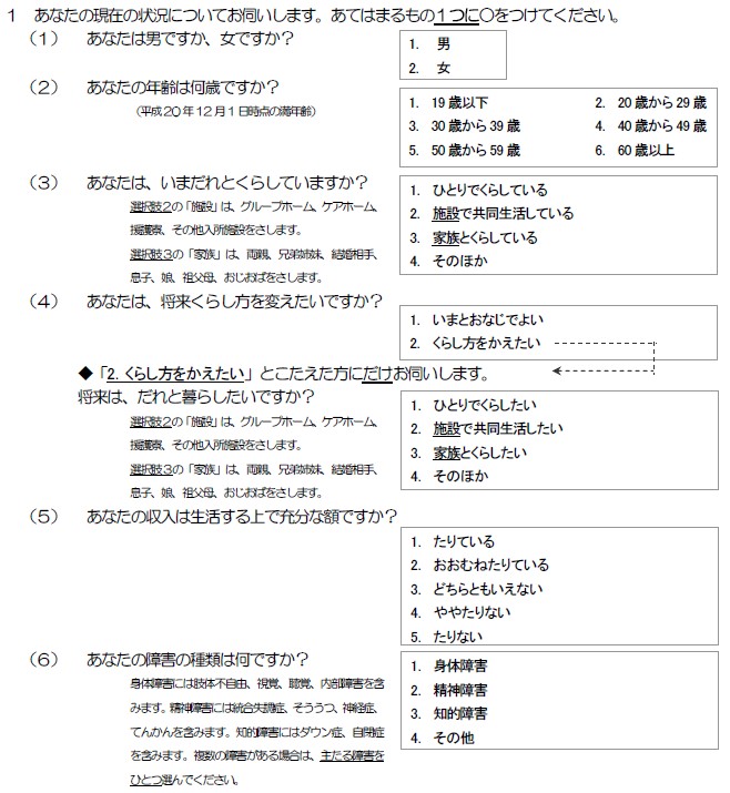 調査票（代理記入者向け）
