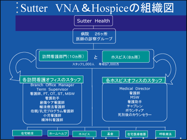 スライド　資料19