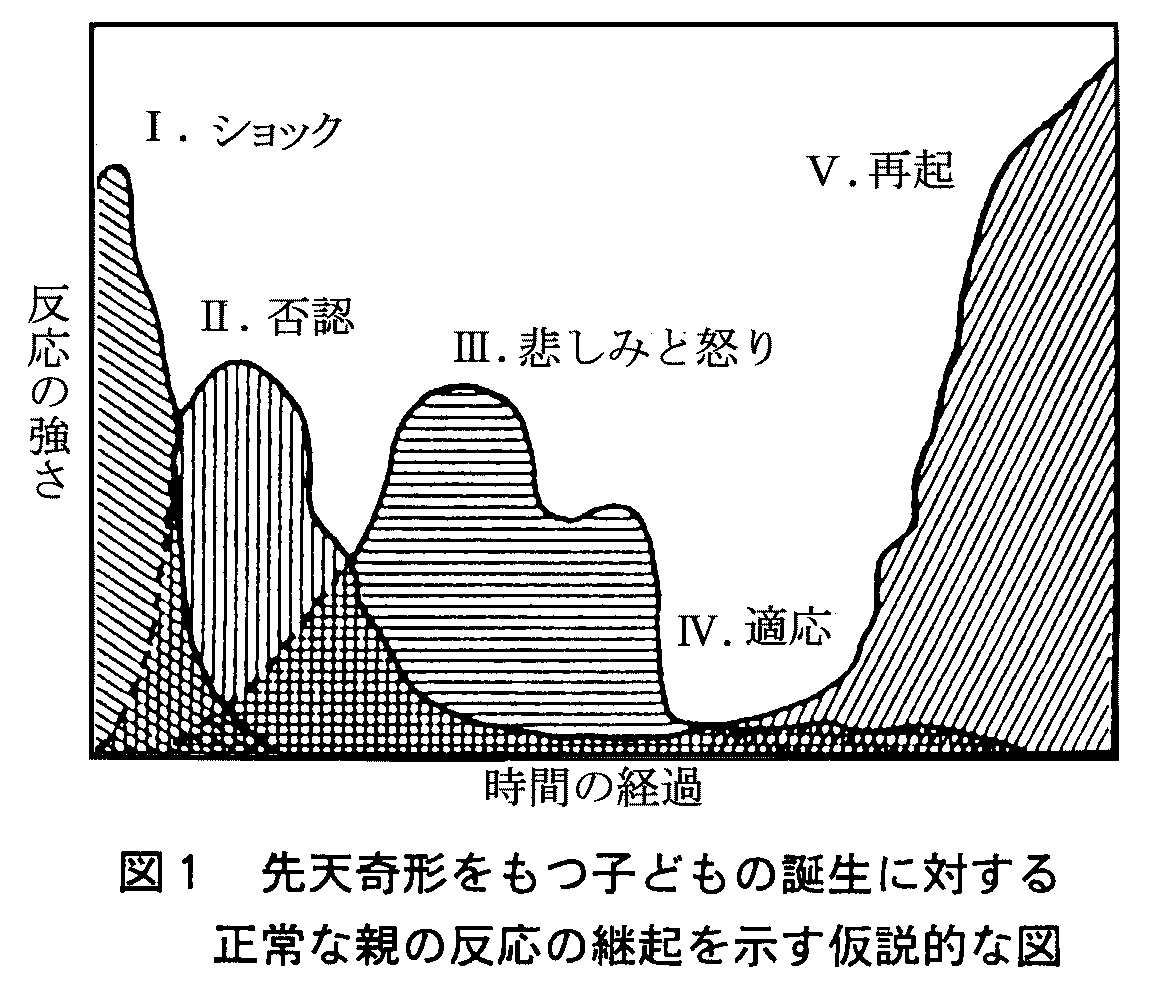 図１　先天奇形をもつ子供の誕生に対する正常な親の反応の継起を示す仮説的な図