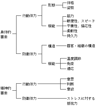 表2 体力の構成要因を示した表