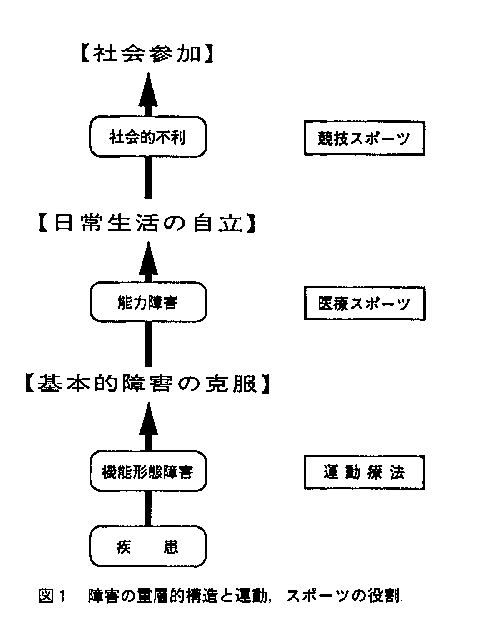 図1　障害の重層的構造と運動、スポーツの役割を示した図