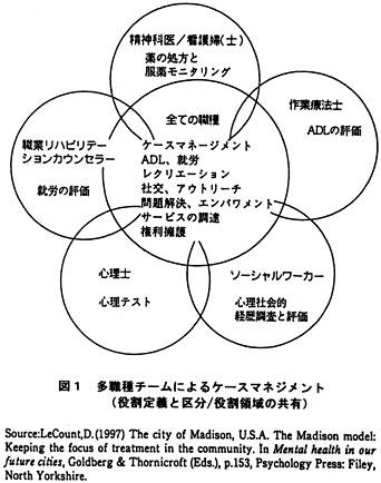 多職種チームによるケースマネジメント（役割定義と区分/役割領域の共有）の図