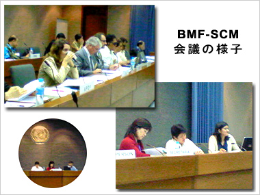 BMF-SMC会議の様子