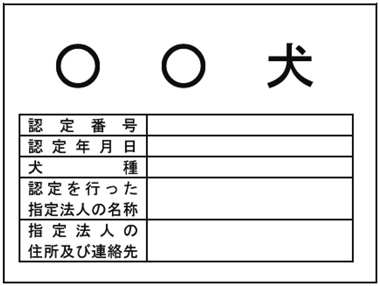 写真１-1 表示