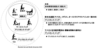 図　日本と欧米先進国の補助犬/アシスタンス・ドッグの分類