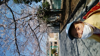 マリさんと桜の木の写真