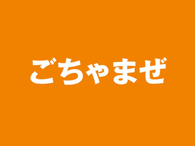 地域共生社会開発プログラム実施報告１：スライド１