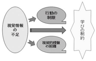 視覚障害のある子どもの就学前の支援と教育 取り組みの現状と課題 障害保健福祉研究情報システム Dinf