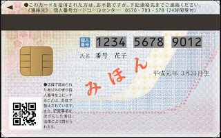 Individual Number Card [Back]