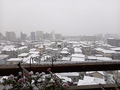 ベランダから撮影した雪景色