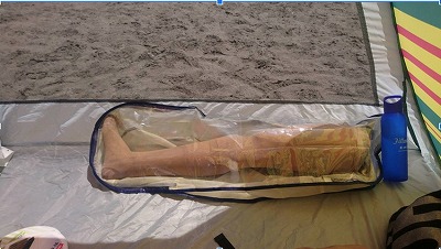 Photo of Figure 2