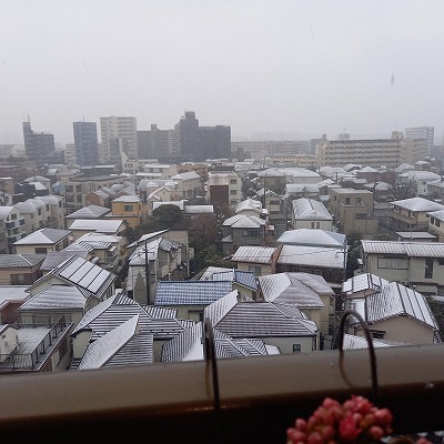 ベランダからの雪景色
