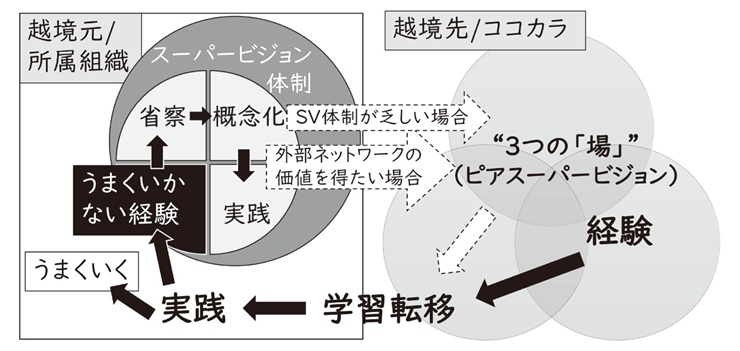 図２　越境による2通りの経験学習サイクル