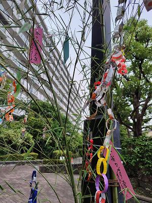 マンションの玄関に飾られた七夕の笹飾りと、願い事が書かれたピンク色の短冊