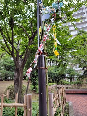 マンションの玄関に飾られた七夕の笹飾りと、紙をつなぎ合わせた色とりどりの輪飾り