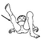 When you lift the leg, be sure that the knee points up or slightly out to the side.